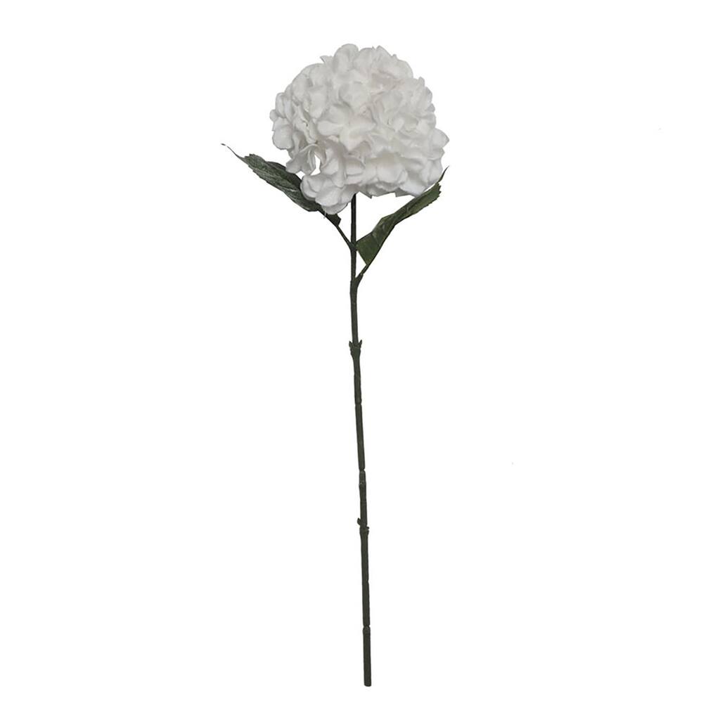 10645064_1.jpg img
